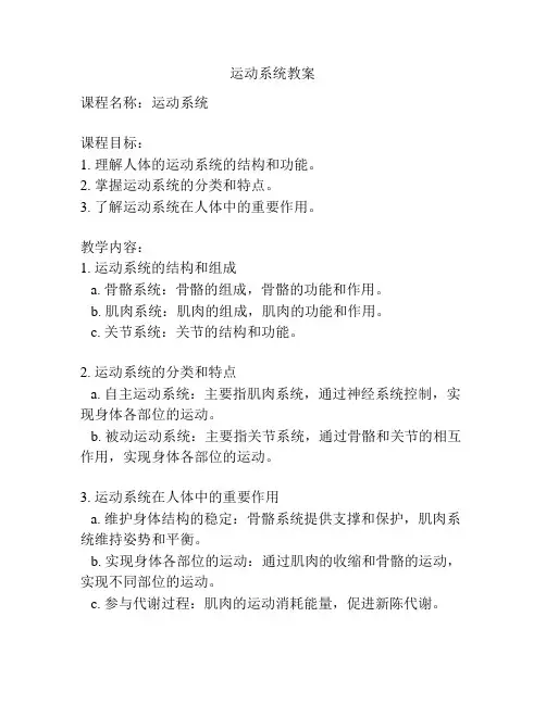 运动系统教案
