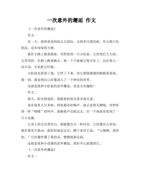 一次意外的邂逅 作文