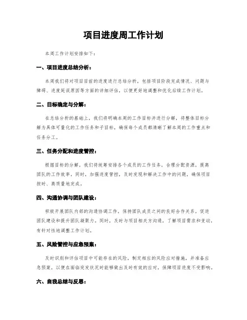 项目进度周工作计划