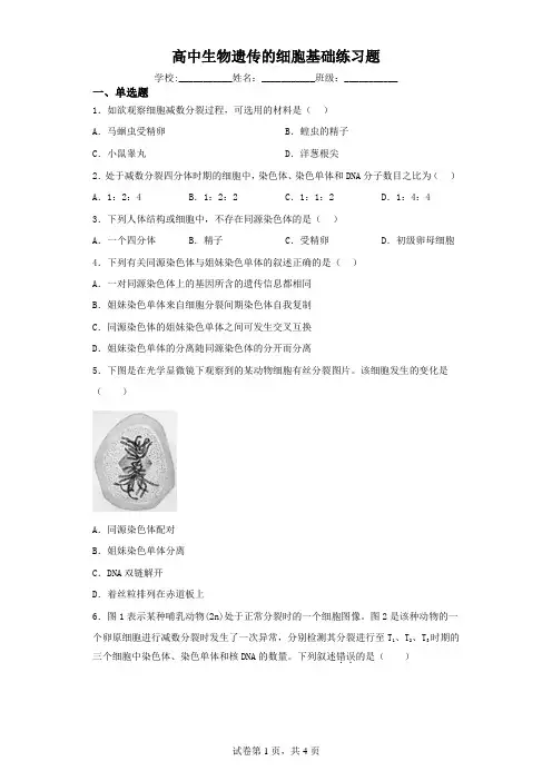 高中生物遗传的细胞基础练习题(含解析)