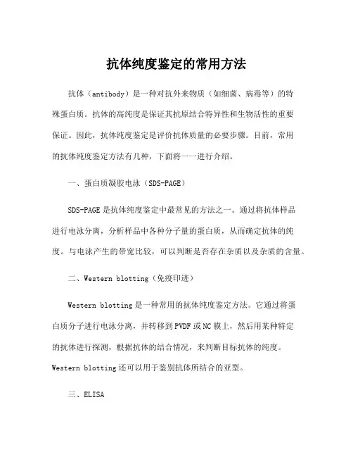 抗体纯度鉴定的常用方法