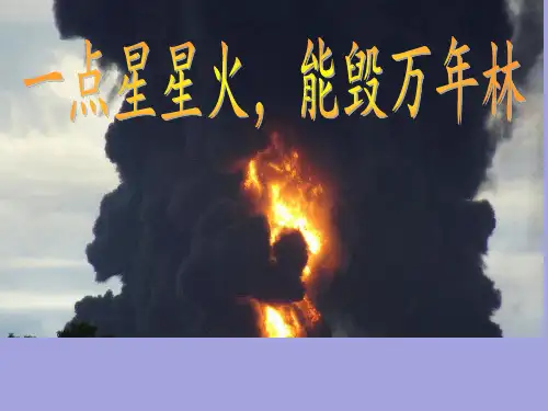 六年级安全教育主题班会课件-关注消防护我家园 全国通用(共14张PPT)