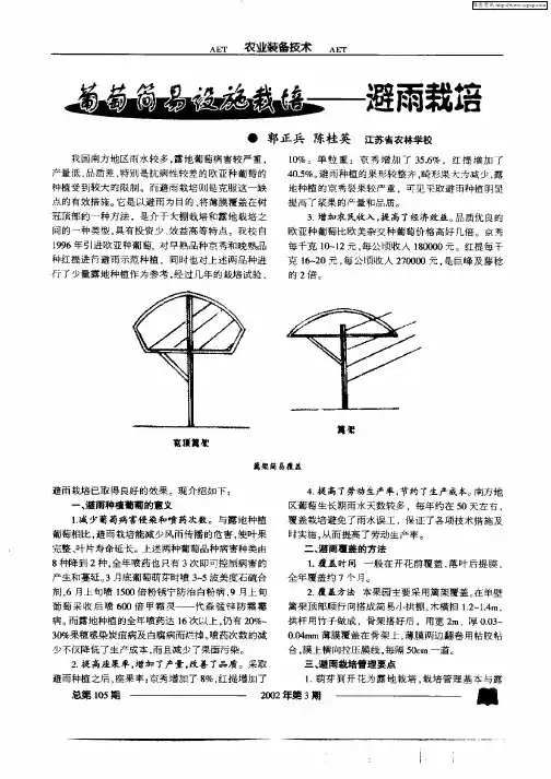 葡萄简易设施栽培—避雨栽培