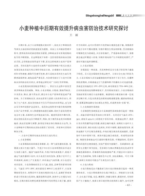 小麦种植中后期有效提升病虫害防治技术研究探讨
