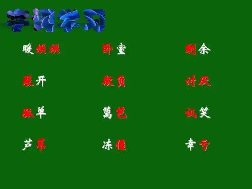 二年级语文下《丑小鸭》700PPT课件 一等奖名师公开课比赛优质课评比试讲