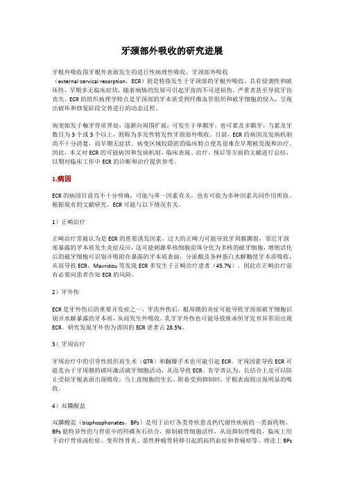 牙颈部外吸收的研究进展