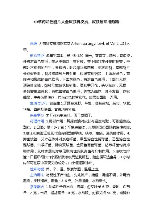 中草药彩色图片大全皮肤科皮炎、皮肤瘙痒用药篇