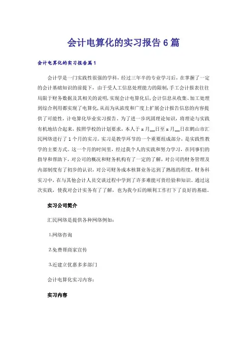 会计电算化的实习报告6篇