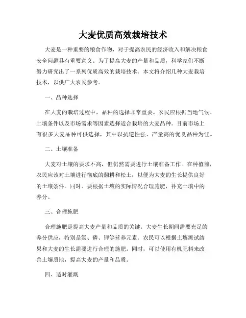 大麦优质高效栽培技术