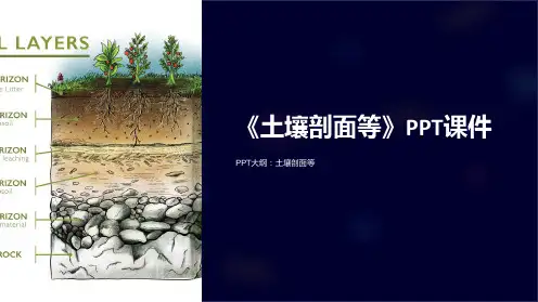《土壤剖面等》课件