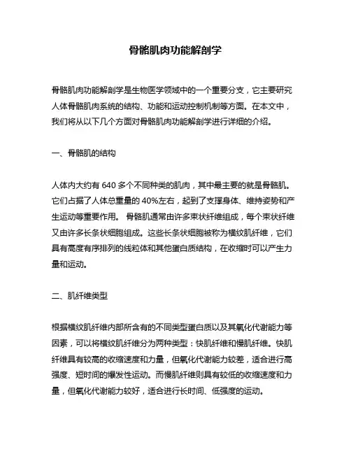 骨骼肌肉功能解剖学