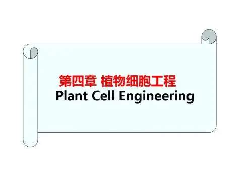 植物细胞工程- PPT课件