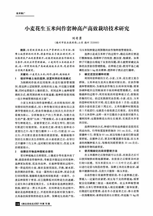 小麦花生玉米间作套种高产高效栽培技术研究