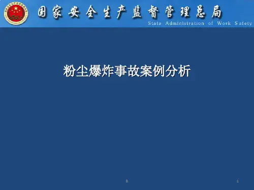 粉尘爆炸事故案例分析 (2)