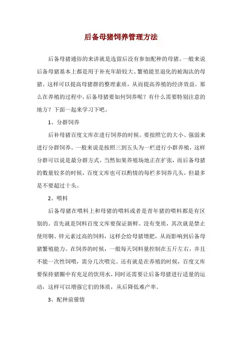 后备母猪饲养管理方法