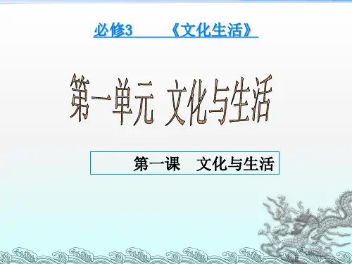 《文化与生活》PPT课件 (2)