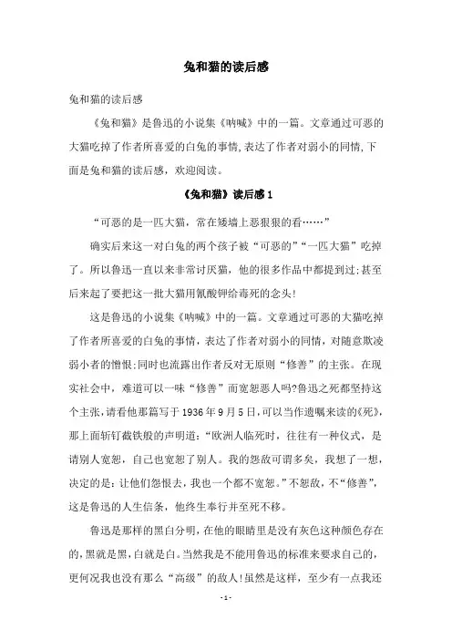 兔和猫的读后感