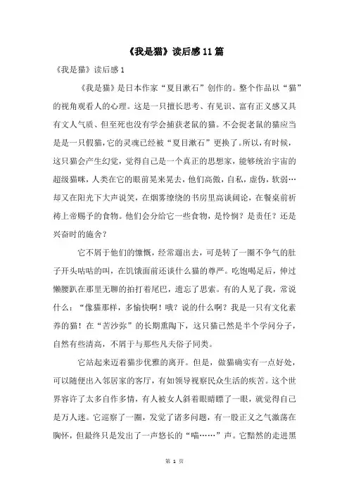 《我是猫》读后感11篇
