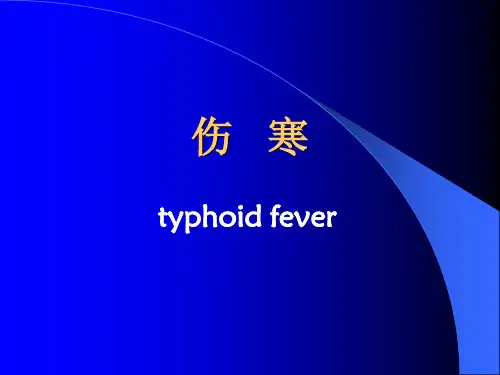 病理学课件PPT 传染病 传染病 伤寒菌痢