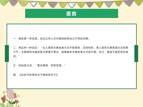 《善良》王蒙PPT课件