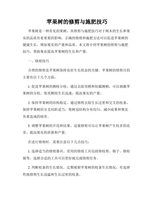 苹果树的修剪与施肥技巧