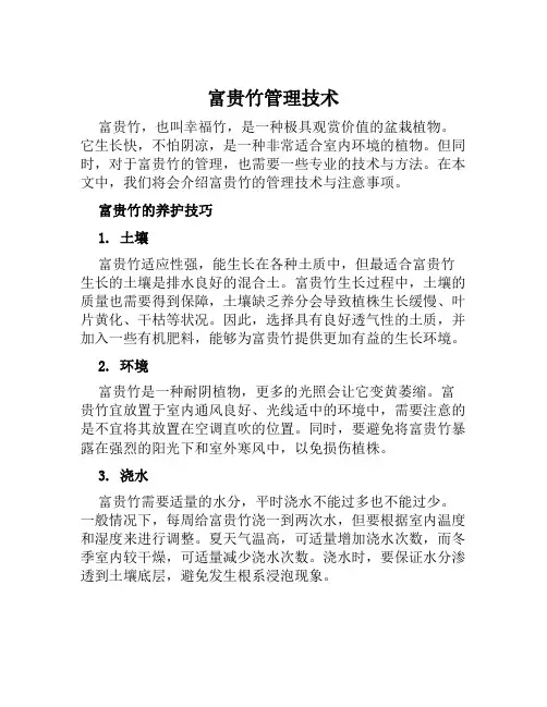 富贵竹管理技术