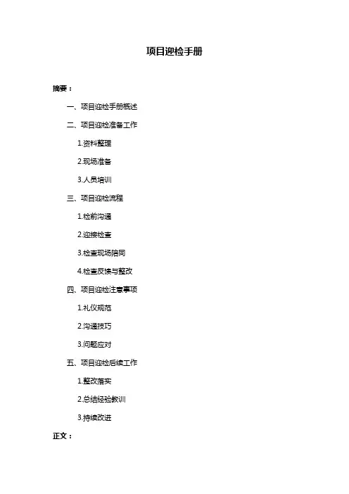 项目迎检手册