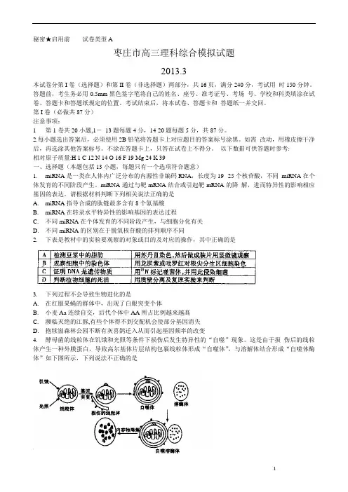 免费!【2013枣庄市一模】山东省枣庄市2013届高三3月模拟考试 理综 Word版含答案