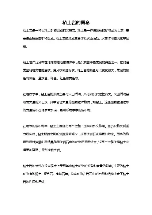 粘土岩的概念