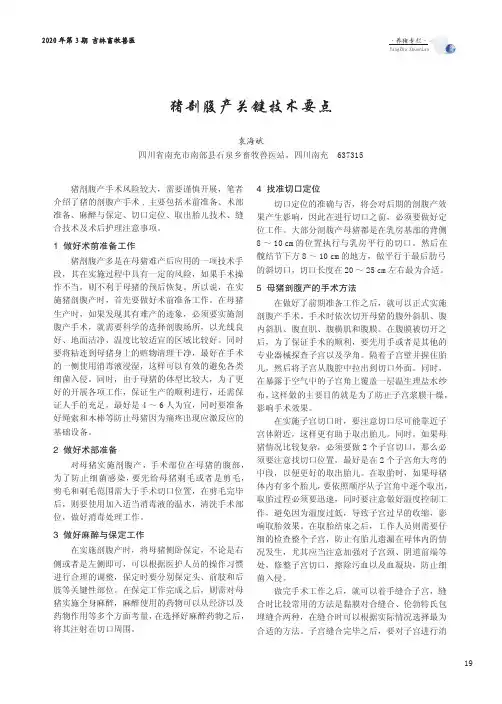 猪剖腹产关键技术要点