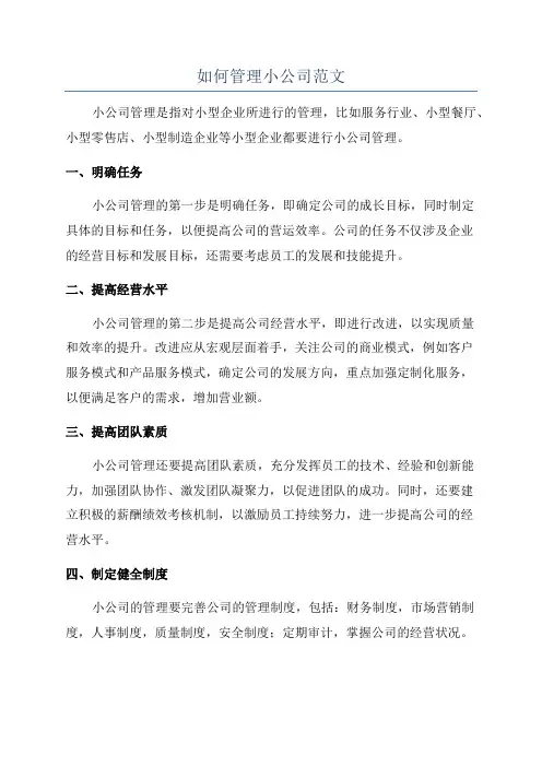 如何管理小公司范文