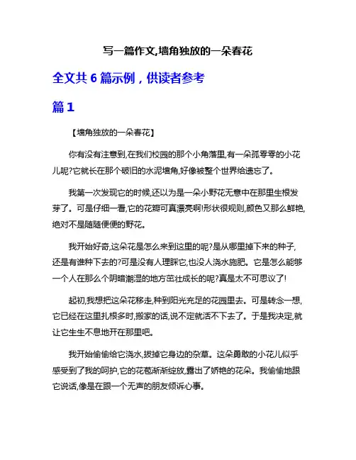 写一篇作文,墙角独放的一朵春花