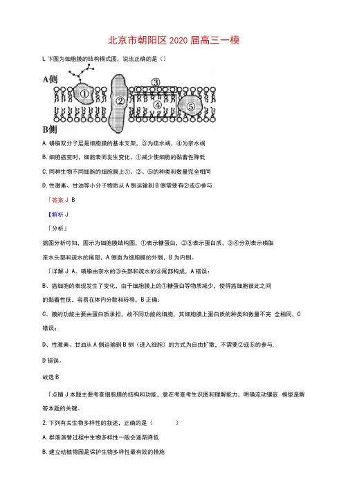 北京市朝阳区2020届高三一模生物试题(解析版)