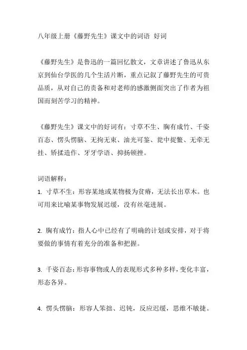 藤野先生的词语