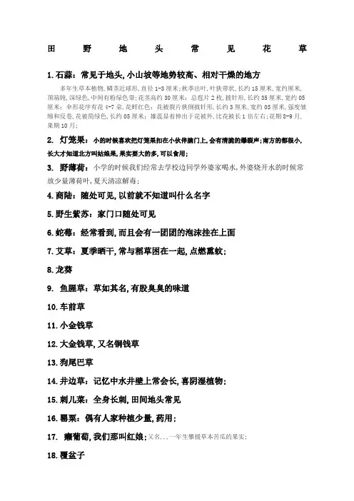 浙江农村常见植物名称大全勾起儿时回忆