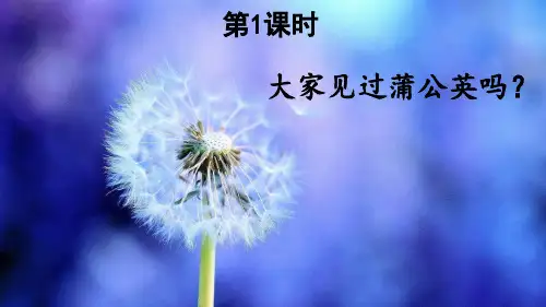 三年级语文上册16 金色的草地 第一课时课件