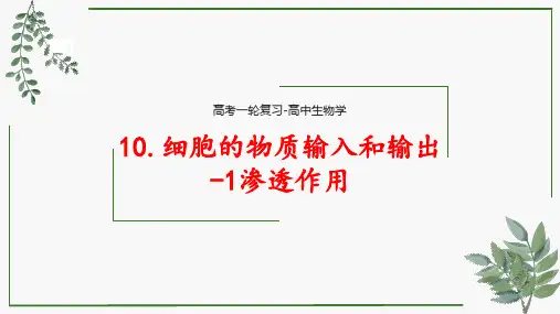 第10讲 细胞的物质输入和输出(第1课时 渗透作用)高考一轮复习课件(新教材新高考)