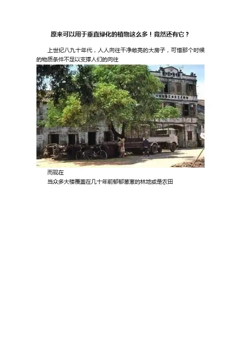 原来可以用于垂直绿化的植物这么多！竟然还有它？
