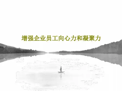 增强企业员工向心力和凝聚力48页PPT