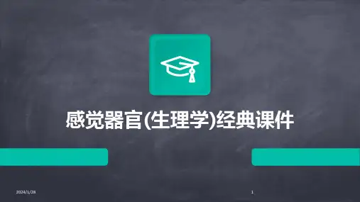感觉器官(生理学)经典课件(2024)