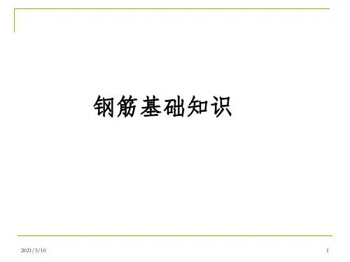 钢筋基础知识(新标准)课件PPT