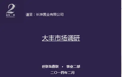 大丰调研报告(初稿)