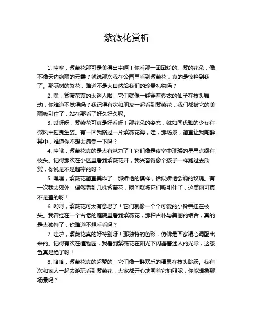 紫薇花赏析