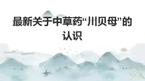 最新关于中草药“川贝母”的认识