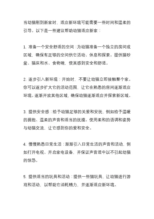 幼猫刚到家怎么适应新家？