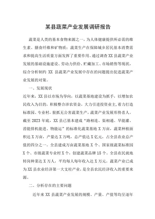 某县蔬菜产业发展调研报告