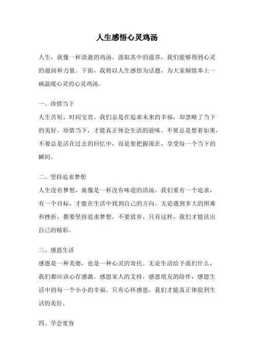 人生感悟心灵鸡汤