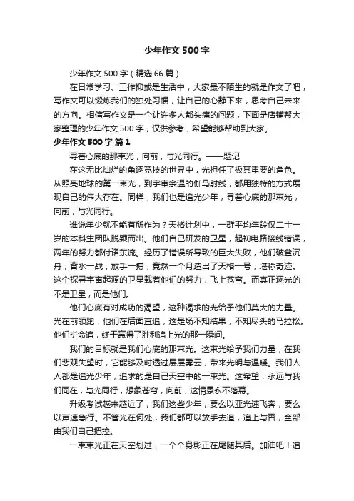 少年作文500字
