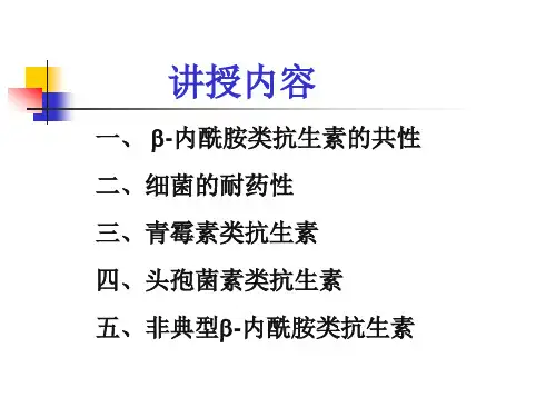 beta内酰胺类抗生素