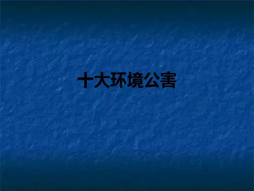 十大环境公害PPT课件